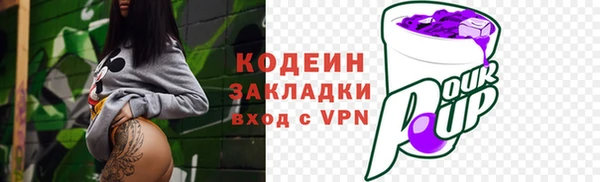индика Медногорск