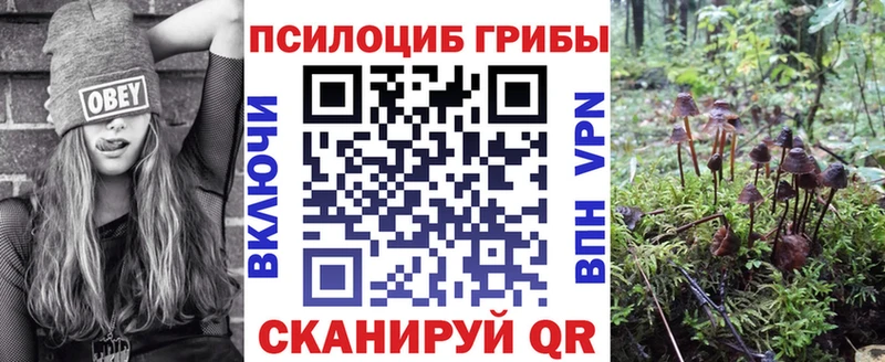Псилоцибиновые грибы мухоморы  ОМГ ОМГ зеркало  Сясьстрой 
